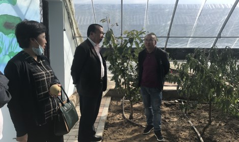 呼和浩特市非遗保护中心吴和义主任一行考察野马图村